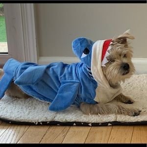 Meet your Posher, Karyn